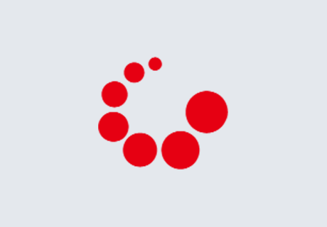 Technologie de Granulation & Pastillage